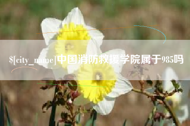 西双版纳中国消防救援学院属于985吗