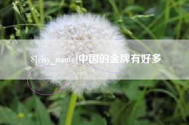 西双版纳中国的金牌有好多