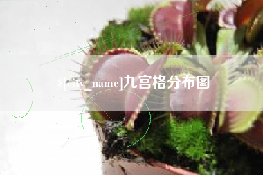 西双版纳九宫格分布图