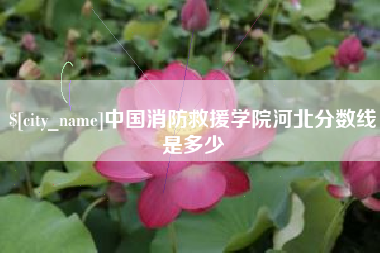 西双版纳中国消防救援学院河北分数线是多少