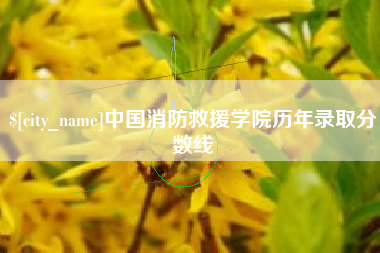 西双版纳中国消防救援学院历年录取分数线