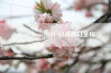 西双版纳11月9日消防日全称