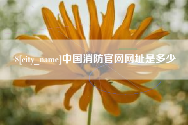 西双版纳中国消防官网网址是多少