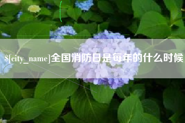 西双版纳全国消防日是每年的什么时候