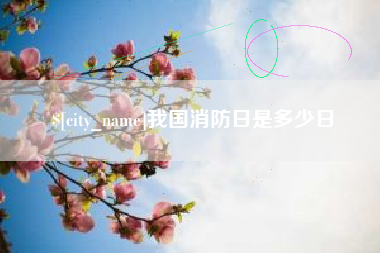 西双版纳我国消防日是多少日
