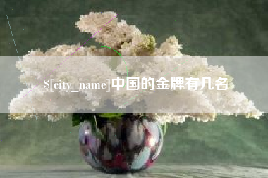西双版纳中国的金牌有几名