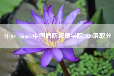西双版纳中国消防救援学院2020录取分