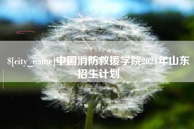 西双版纳中国消防救援学院2021年山东招生计划