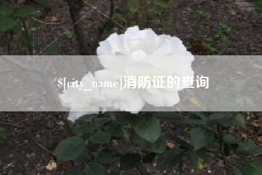西双版纳消防证的查询