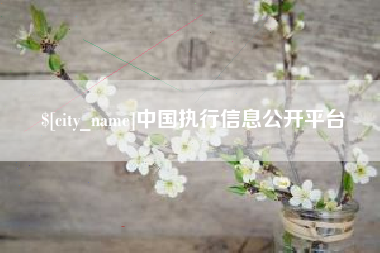 西双版纳中国执行信息公开平台