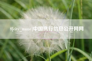 西双版纳中国执行信息公开网网