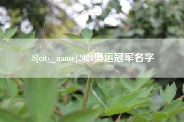 西双版纳2024奥运冠军名字