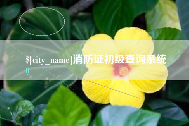 西双版纳消防证初级查询系统