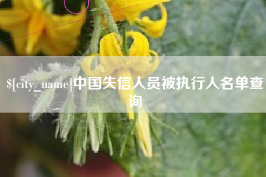 西双版纳中国失信人员被执行人名单查询