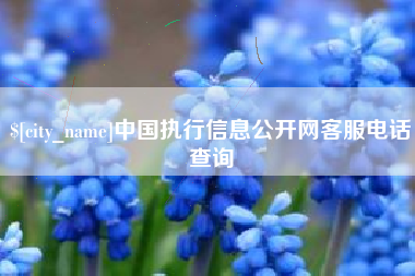 西双版纳中国执行信息公开网客服电话查询