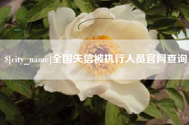 西双版纳全国失信被执行人员官网查询