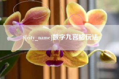 西双版纳数字九宫格玩法