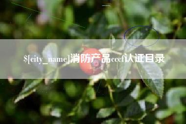西双版纳消防产品cccf认证目录