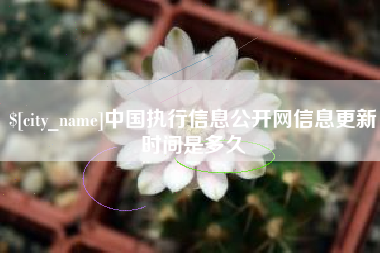 西双版纳中国执行信息公开网信息更新时间是多久