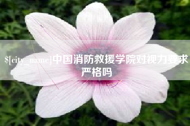 西双版纳中国消防救援学院对视力要求严格吗