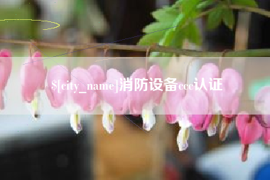 西双版纳消防设备ccc认证