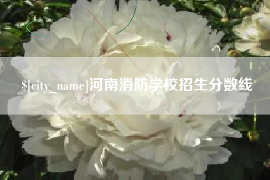 西双版纳河南消防学校招生分数线