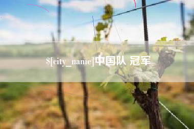 西双版纳中国队 冠军