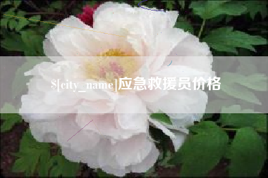 西双版纳应急救援员价格