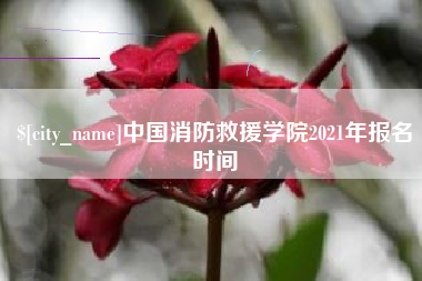 西双版纳中国消防救援学院2021年报名时间