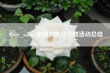 西双版纳全国消防日主题活动总结