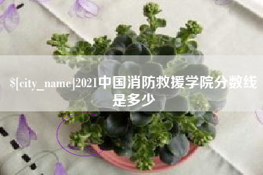 西双版纳2021中国消防救援学院分数线是多少