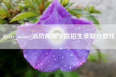西双版纳消防救援学院招生录取分数线