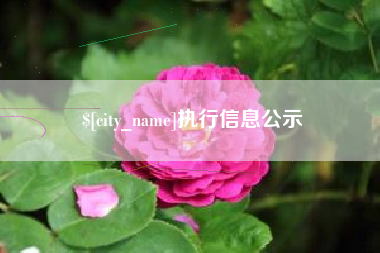 西双版纳执行信息公示