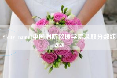 西双版纳中国消防救援学院录取分数线2020