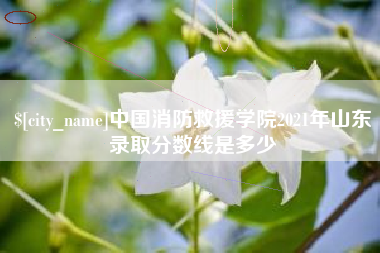 西双版纳中国消防救援学院2021年山东录取分数线是多少