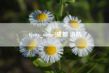 西双版纳成都 消防