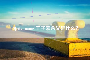 西双版纳王子豪含义是什么？