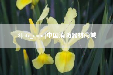 西双版纳中国消防器材商城