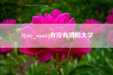 西双版纳有没有消防大学