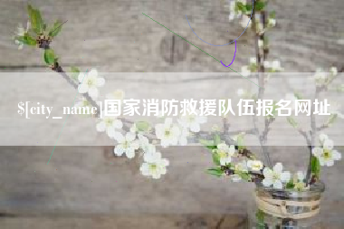 西双版纳国家消防救援队伍报名网址