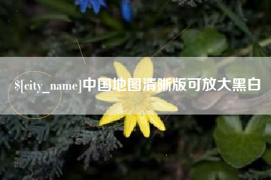 西双版纳中国地图清晰版可放大黑白