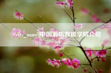 西双版纳中国消防救援学院介绍