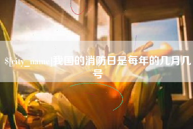 西双版纳我国的消防日是每年的几月几号