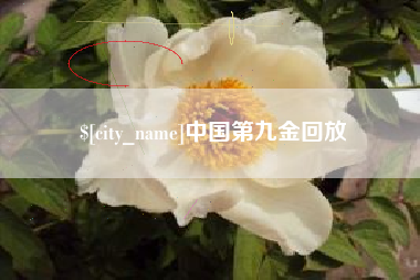 西双版纳中国第九金回放