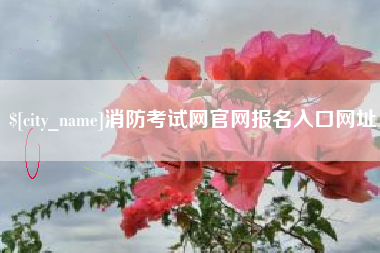 西双版纳消防考试网官网报名入口网址