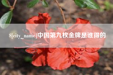 西双版纳中国第九枚金牌是谁得的