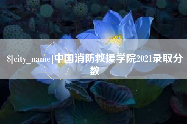 西双版纳中国消防救援学院2021录取分数