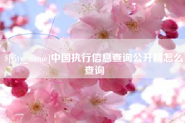 西双版纳中国执行信息查询公开网怎么查询