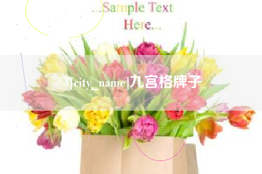 西双版纳九宫格牌子