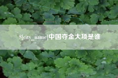 西双版纳中国夺金大项是谁